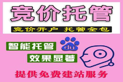 成功案例分享：Sem优化公司助力品牌增长